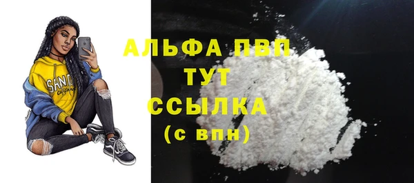 твердый Коряжма