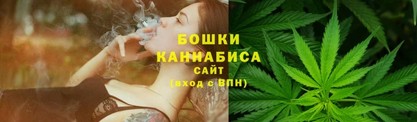 твердый Коряжма