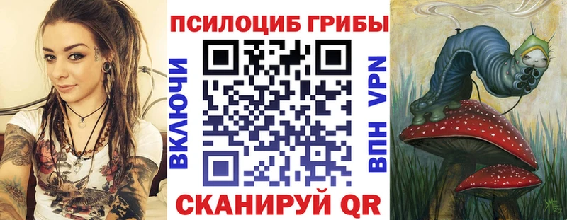 Купить где  Новошахтинск  Галлюциногенные грибы прущие грибы 